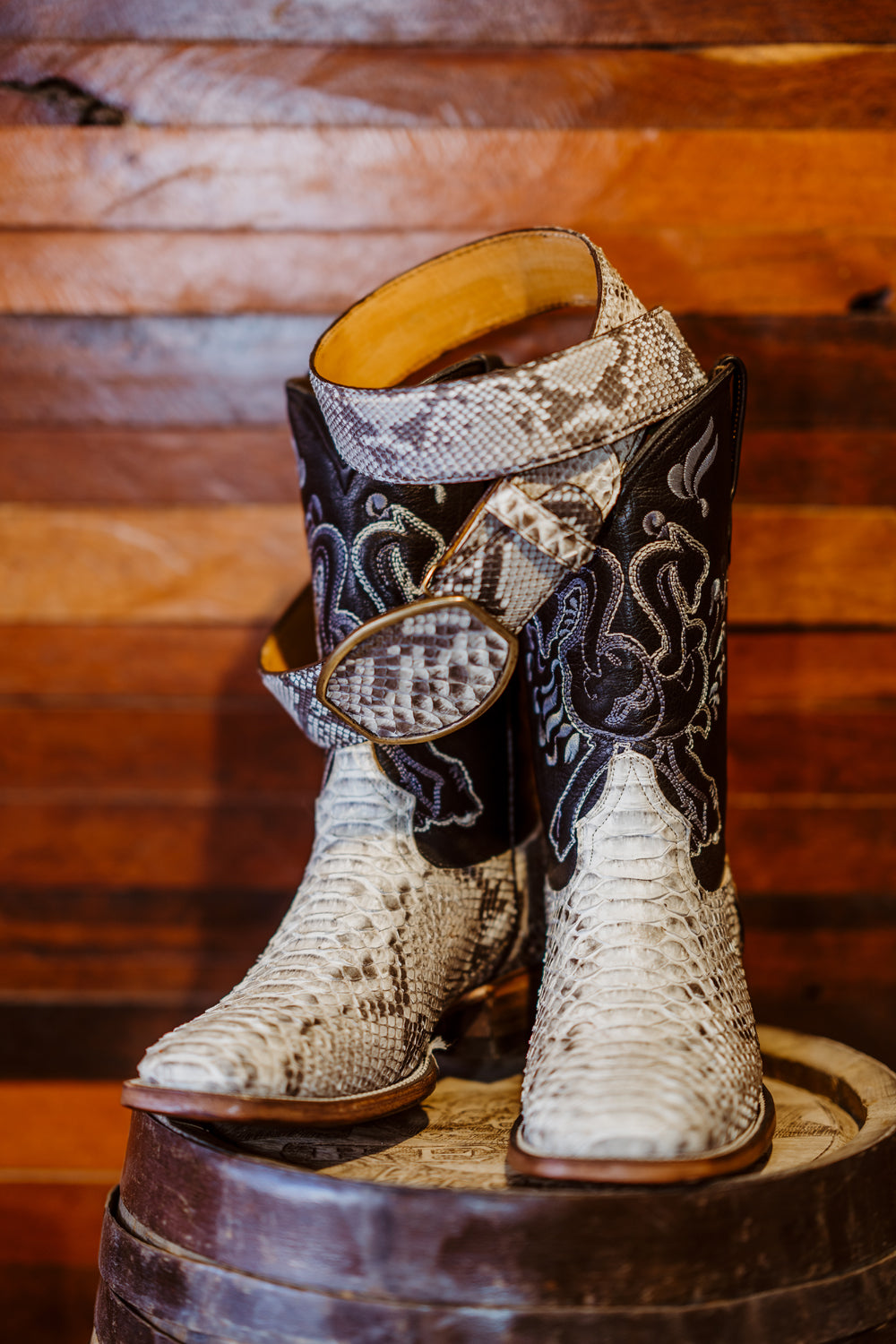 King Python Botas