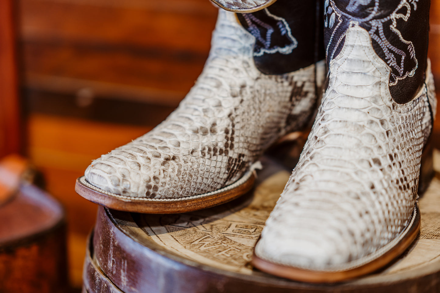 King Python Botas