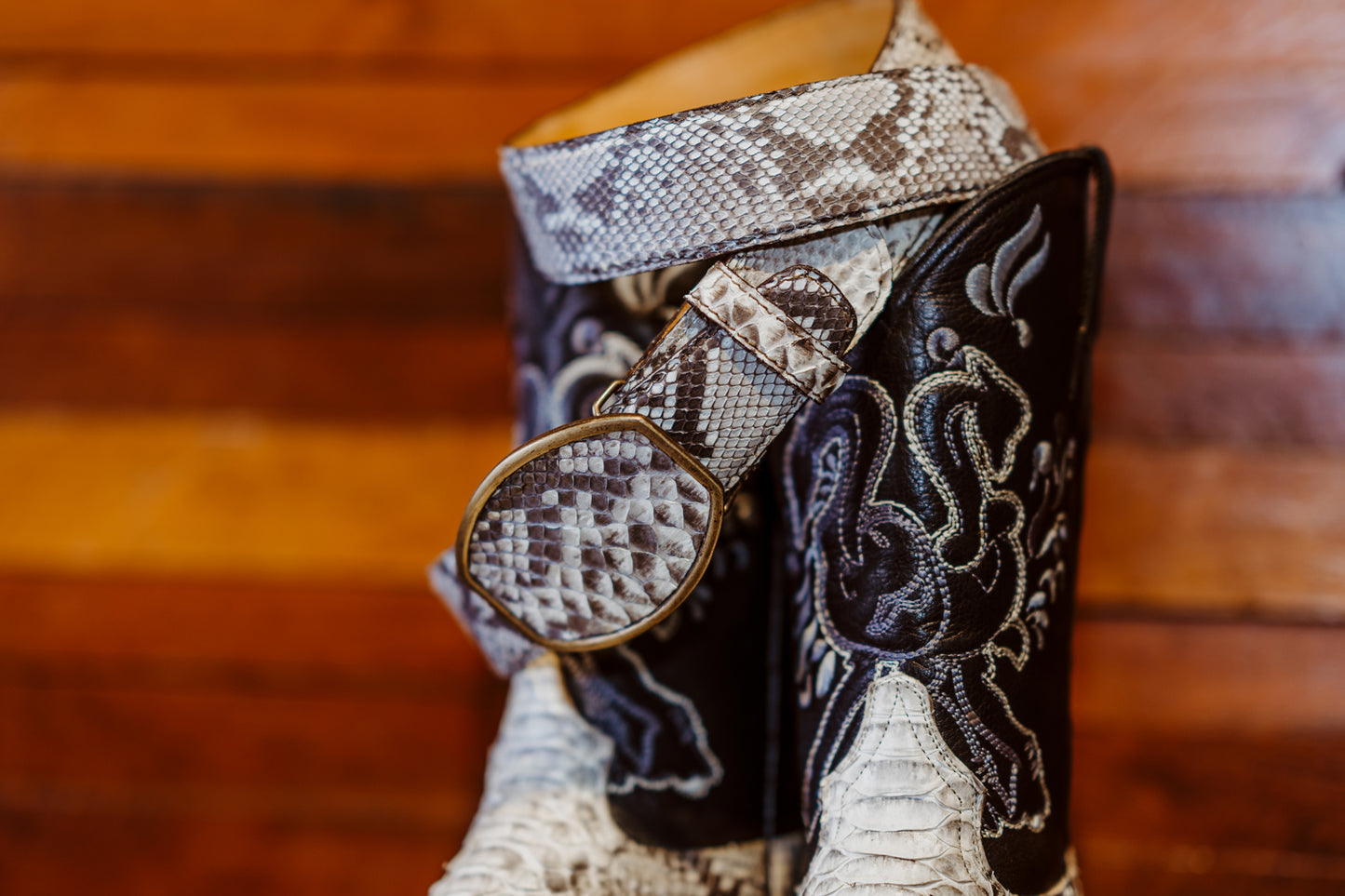 King Python Botas