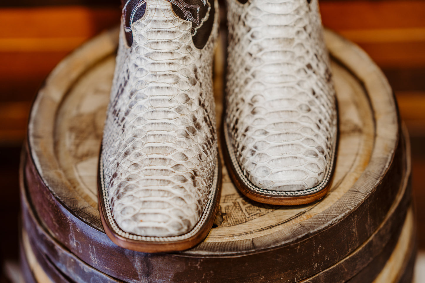 King Python Botas