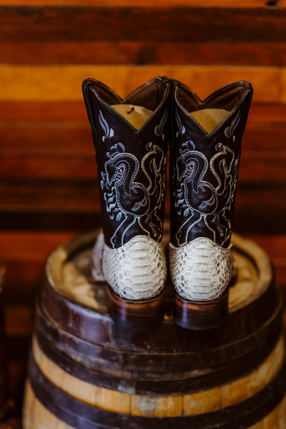 King Python Botas