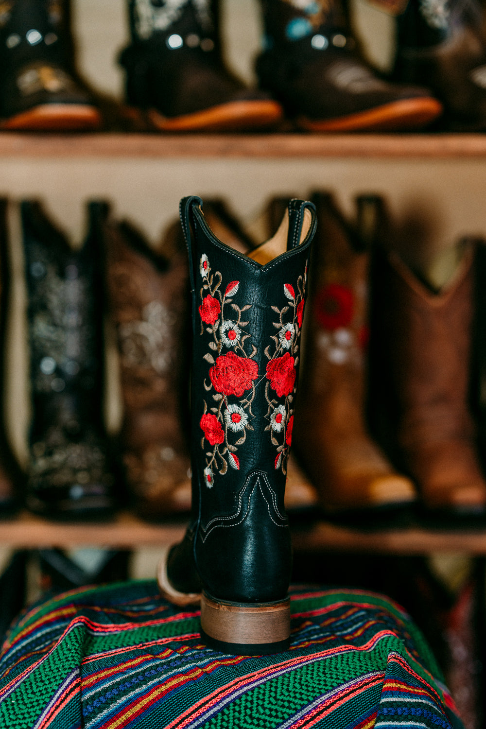 Rose of Mexico