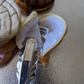 Pan Dulce Concha Coin Purse